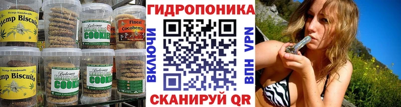 Canna-Cookies конопля  купить наркоту  Новотроицк 