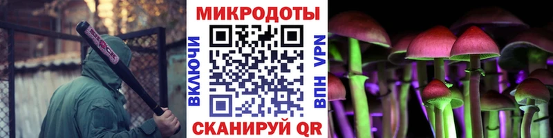 Галлюциногенные грибы Psilocybe Новотроицк
